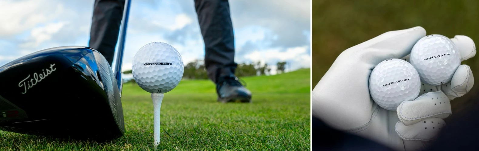 Titleist Shop -Titleist Shop tzhu